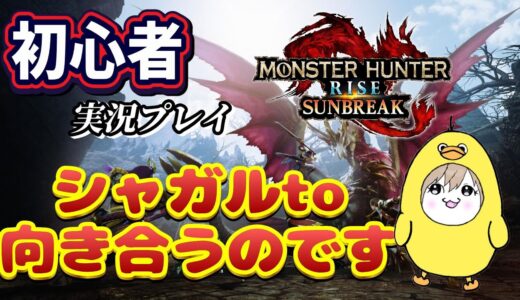 【モンスターハンターライズサンブレイク】初心者実況🔰～シャガルを倒すのです～