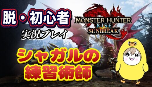 【モンスターハンターライズサンブレイク】初心者実況🔰～シャガル今日こそは～