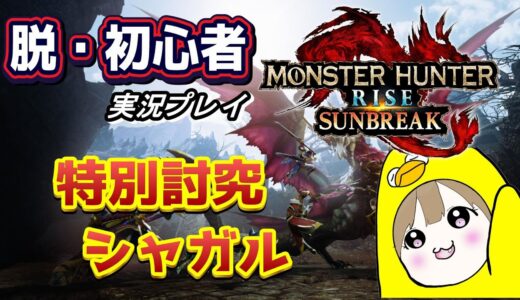 【モンスターハンターライズサンブレイク】脱・初心者～特別討究に勝てる強さを求めて～