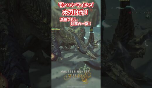 モンハンワイルズベータ版プレイ動画!! #モンスターハンターワイルズ #モンハンライズ  #サンブレイク #mhw #mhwib #mhwi #mhxx #mhwilds #レ・ダウ