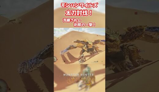 モンハンワイルズベータ版プレイ動画!! #モンスターハンターワイルズ #モンハンライズ  #サンブレイク #mhw #mhwib #mhwi #mhxx #mhwilds #レ・ダウ