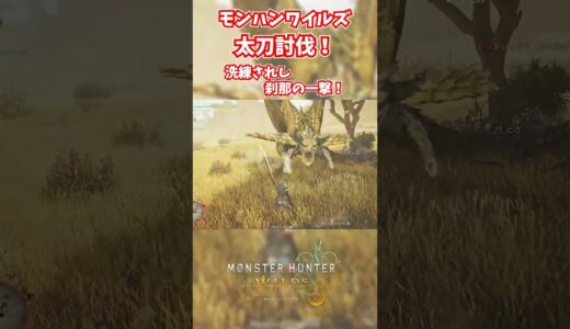 モンハンワイルズベータ版プレイ動画!! #モンスターハンターワイルズ #モンハンライズ  #サンブレイク #mhw #mhwib #mhwi #mhxx #mhwilds #レ・ダウ