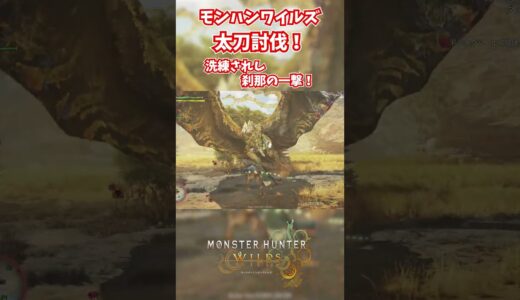 モンハンワイルズベータ版プレイ動画!! #モンスターハンターワイルズ #モンハンライズ  #サンブレイク #mhw #mhwib #mhwi #mhxx #mhwilds #レ・ダウ