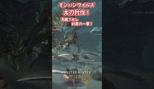 モンハンワイルズベータ版プレイ動画!! #モンスターハンターワイルズ #モンハンライズ  #サンブレイク #mhw #mhwib #mhwi #mhxx #mhwilds #レ・ダウ