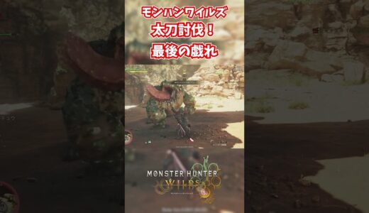 モンハンワイルズベータ版プレイ動画!! #モンスターハンターワイルズ #モンハンライズ  #サンブレイク #mhw #mhwib #mhwi #mhxx #mhwilds #レ・ダウ