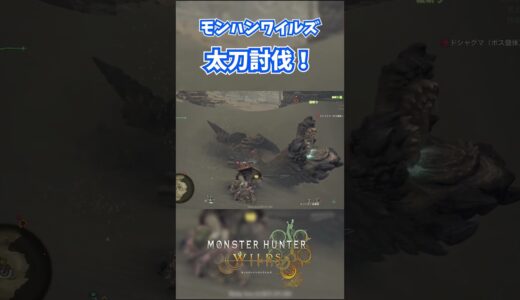 モンハンワイルズベータ版プレイ動画!! #モンスターハンターワイルズ #モンハンライズ  #サンブレイク #mhw #mhwib #mhwi #mhxx #mhwilds #レ・ダウ