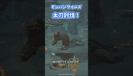 モンハンワイルズベータ版プレイ動画!! #モンスターハンターワイルズ #モンハンライズ  #サンブレイク #mhw #mhwib #mhwi #mhxx #mhwilds #レ・ダウ