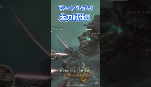 モンハンワイルズベータ版プレイ動画!! #モンスターハンターワイルズ #モンハンライズ  #サンブレイク #mhw #mhwib #mhwi #mhxx #mhwilds #レ・ダウ