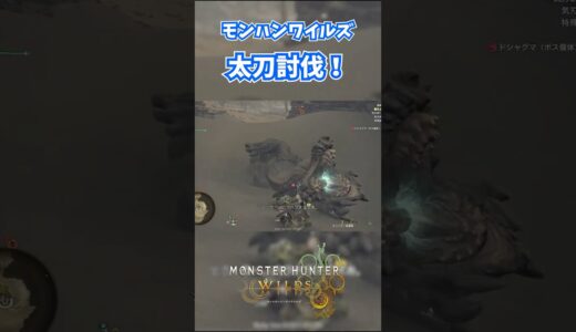 モンハンワイルズベータ版プレイ動画!! #モンスターハンターワイルズ #モンハンライズ  #サンブレイク #mhw #mhwib #mhwi #mhxx #mhwilds #レ・ダウ