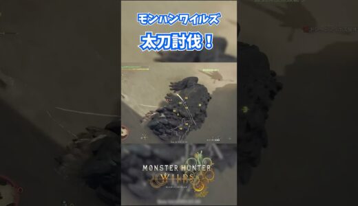 モンハンワイルズベータ版プレイ動画!! #モンスターハンターワイルズ #モンハンライズ  #サンブレイク #mhw #mhwib #mhwi #mhxx #mhwilds #レ・ダウ