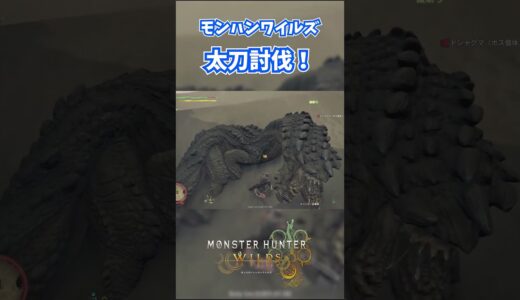 モンハンワイルズベータ版プレイ動画!! #モンスターハンターワイルズ #モンハンライズ  #サンブレイク #mhw #mhwib #mhwi #mhxx #mhwilds #レ・ダウ