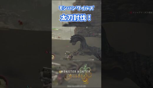 モンハンワイルズベータ版プレイ動画!! #モンスターハンターワイルズ #モンハンライズ  #サンブレイク #mhw #mhwib #mhwi #mhxx #mhwilds #レ・ダウ