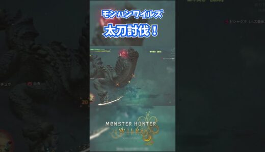 モンハンワイルズベータ版プレイ動画!! #モンスターハンターワイルズ #モンハンライズ  #サンブレイク #mhw #mhwib #mhwi #mhxx #mhwilds #レ・ダウ