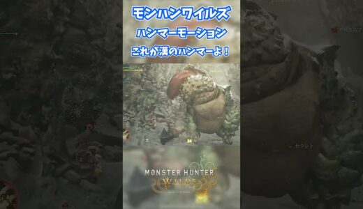 モンハンワイルズハンマーが強い!! #モンスターハンターワイルズ #モンハンライズ  #サンブレイク #mhw #mhwib #mhwi #mhxx #mhwilds