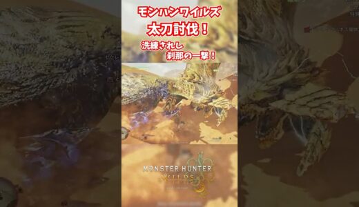 モンハンワイルズベータ版プレイ動画!! #モンスターハンターワイルズ #モンハンライズ  #サンブレイク #mhw #mhwib #mhwi #mhxx #mhwilds #レ・ダウ