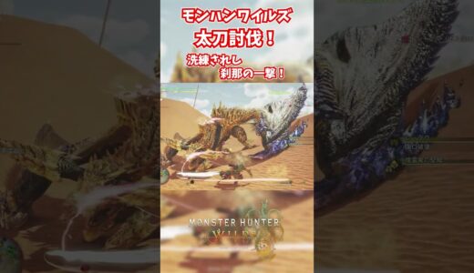 モンハンワイルズベータ版プレイ動画!! #モンスターハンターワイルズ #モンハンライズ  #サンブレイク #mhw #mhwib #mhwi #mhxx #mhwilds #レ・ダウ