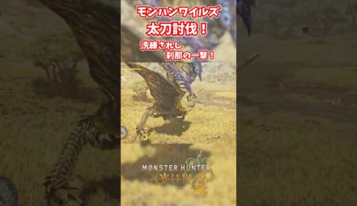 モンハンワイルズベータ版プレイ動画!! #モンスターハンターワイルズ #モンハンライズ  #サンブレイク #mhw #mhwib #mhwi #mhxx #mhwilds #レ・ダウ