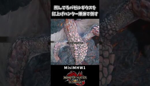 【モンハン】飛んでるバゼルギウスを打上げハンター爆弾で倒す！【モンハンサンブレイク】