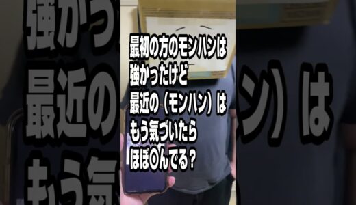 モンハンアキネーター【ブルファンゴ編】【ライズサンブレイク】2