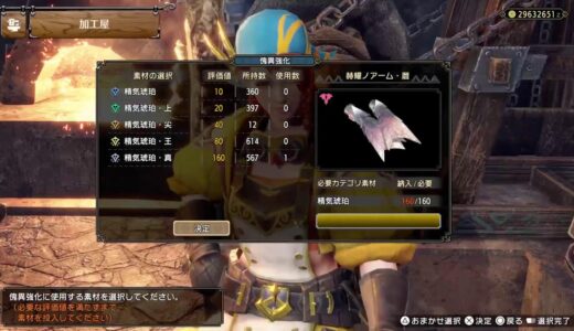 野郎のモンハンライズサンブレイク[PS5]