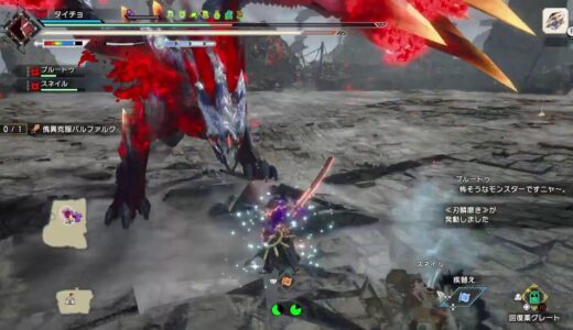 野郎のモンハンライズサンブレイク[PS5]