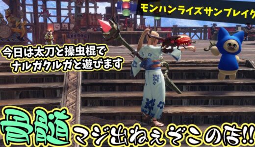 参加型！モンハンライズSteam版！ナルガクルガの延髄・骨髄出るまで終われません【モンスターハンターライズ】【MHRise】