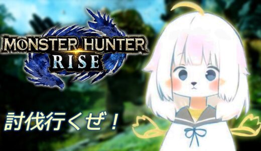 【モンハンライズ】マルチで行くぜ。(モンハン初心者)