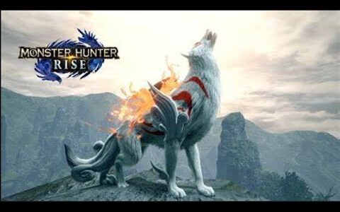 【MONSTER HANTER RISE】ガチ初見モンハンライズ