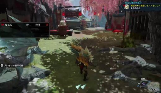 PS5 モンハンライズ　初心者🔰