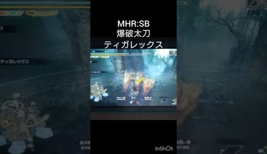 【モンハンR:SB】爆破太刀でティガレックス楽しすぎ…　#mhrisesunbreak #モンハンサンブレイク #爆破属性太刀 #太刀装備 #モンハンライズ