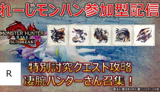 【モンハンライズ/サンブレイクSwitch版、参加型配信】特別討究クエスト攻略ラスト、凄腕ハンターさん召集！_part34【モンスターハンターサンブレイク】