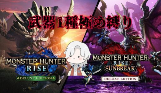 【モンハンライズ】やっと上位にたどり着いたぜ