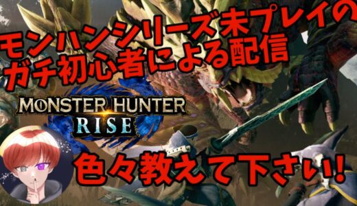 【#初心者 】何もわからないので教えて下さい! 【#モンハンライズ 】