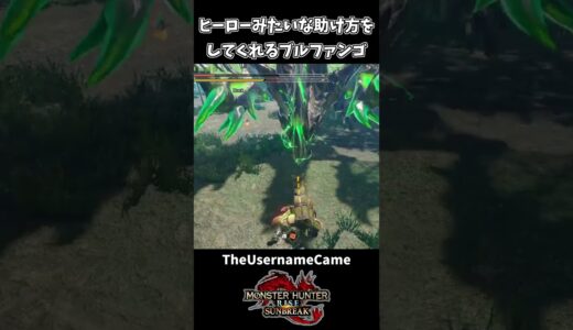 ヒーローみたいに助けてくれるブルファンゴｗｗ【モンハンサンブレイク】