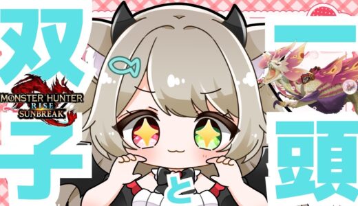 【サンブレイク】モンハン【参加型】双子＋１頭クエで一狩り行こう！武器種自由１クエ交代参加型LIVE配信【switch版モンハンライズ】