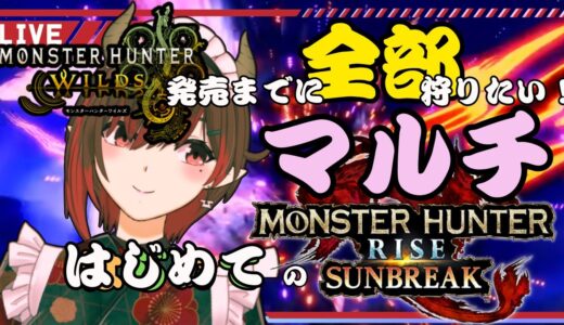 【Switch】【初見プレイ】#20   モンハンシリーズ完全初見！ぽんこつハンターが行く！～一狩り行こうぜ！～(2025.2.13)【モンスターハンターライズ】【参加型】