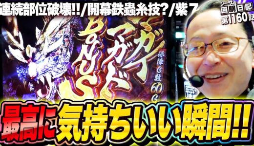 至高連発！モンスターハンターライズで気持ち良くなります！『シーサ。の回胴日記第１１６０話』[by ARROWS-SCREEN]【スマスロ モンスターハンターライズ】