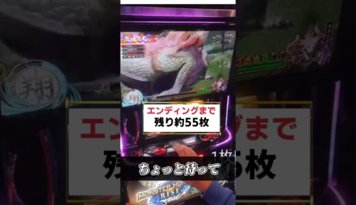 こんなん見たことある？？笑【スマスロ モンハンライズ】