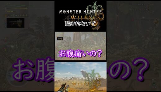 【モンスターハンターワイルズ】騙されてお腹痛い。#モンハン #モンスターハンターライズ #モンハンワイルズ #ガンランス