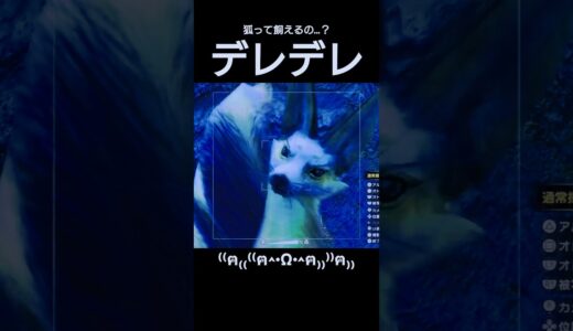 ハクメンコンモウが最高に可愛い #モンスターハンターライズ #モンハンライズ