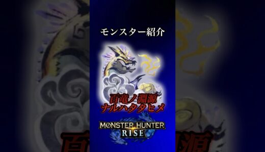 ※ネタバレ注意【解説】『百竜ノ淵源ナルハタタヒメ』#モンハン #モンハンサンブレイク #モンハンライズ #大剣 #ゲーム実況