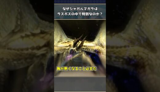 【モンハン】ラスボスの中でシャガルマガラが特別な理由