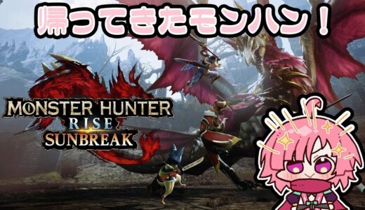【#MHサンブレイク】狩猟に出る忍者#10【ネタバレ有】