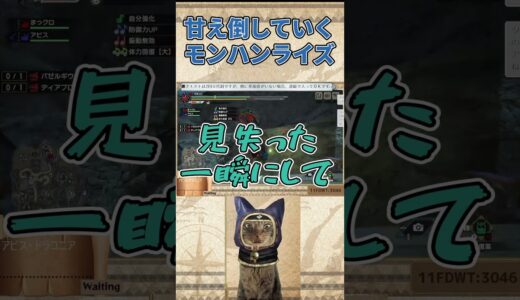 手厚い介護を受けるモンスターハンターライズ #shorts