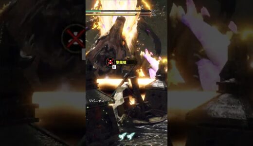 (音量注意)ナルハタタヒメ倒したで！！