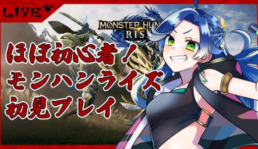 【参加型】金曜日と木曜日を間違えました【モンハンライズサンブレイク】