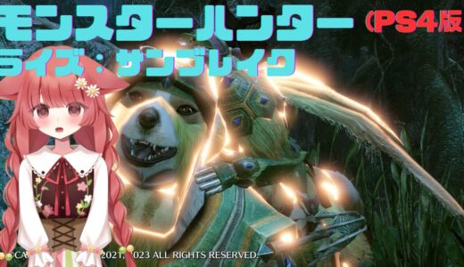 【モンスターハンターライズ：サンブレイク】今日は何する？