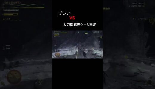 【モンハンワイルズ】 ゾシアvs太刀最速赤ゲージ　#モンハン　#ワイルズ #太刀　#monsterhunter #MHWilds #ジャニーズWEST #shorts