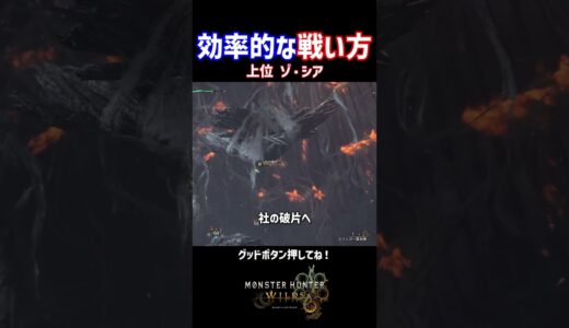 効率的な戦い方？上位ゾ・シアvs弓【モンハンワイルズ】#shorts #モンハン #monsterhunter #monsterhunterwilds #モンハンワイルズ #ゲーム実況