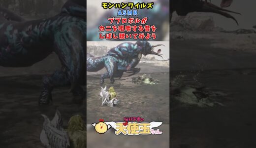 【モンハンワイルズASMR】ププロポルがカニを咀嚼する音をしばし聴いてみよう #モンハンワイルズ #モンスターハンターワイルズ #ASMR #shorts